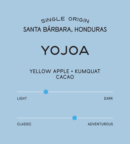 Verve Coffee Roasters - Yojoa SL28 - Scent Profile - Single Origin - Santa Barbara, Honduras - Tasting Notes: Yellow Apple, Kumquat, Cacao - Light + Adventurous