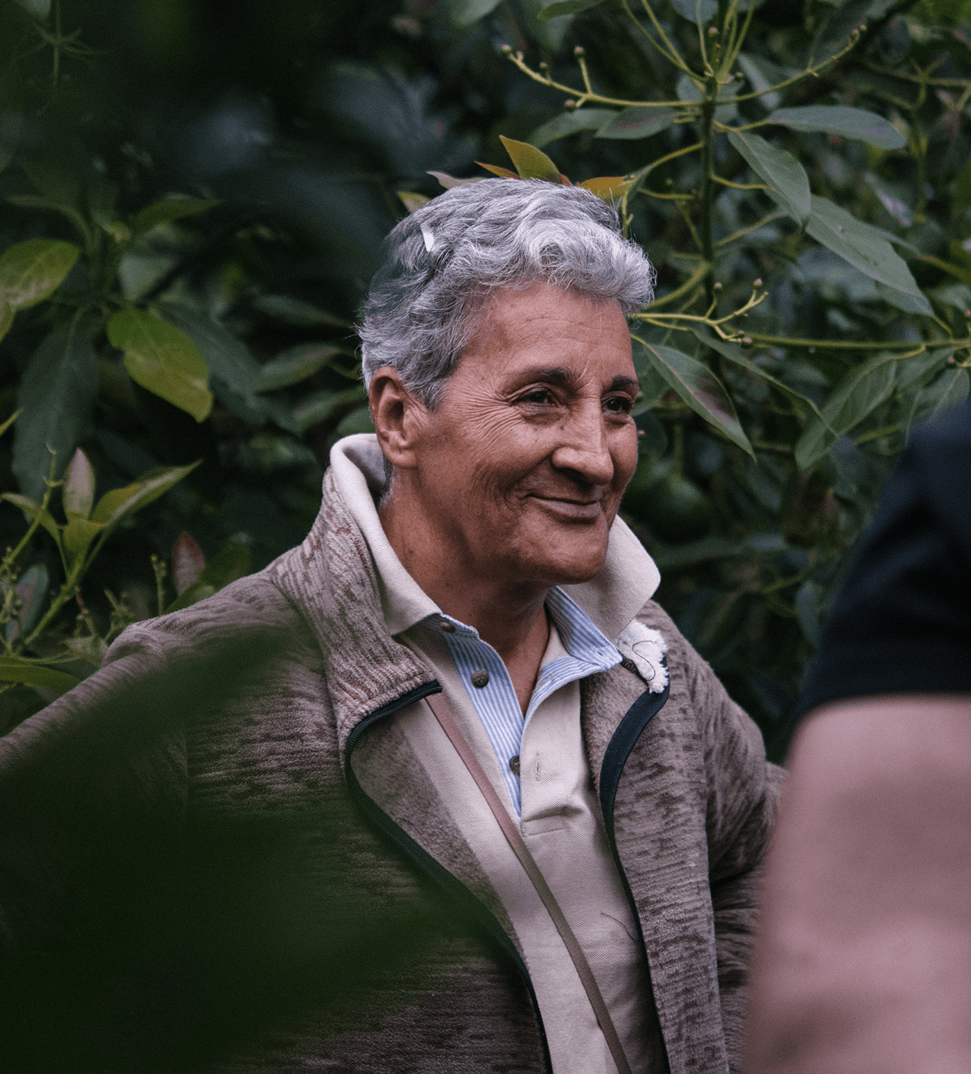Verve Coffee Roasters - Amparo Maya Natural - Producer Image