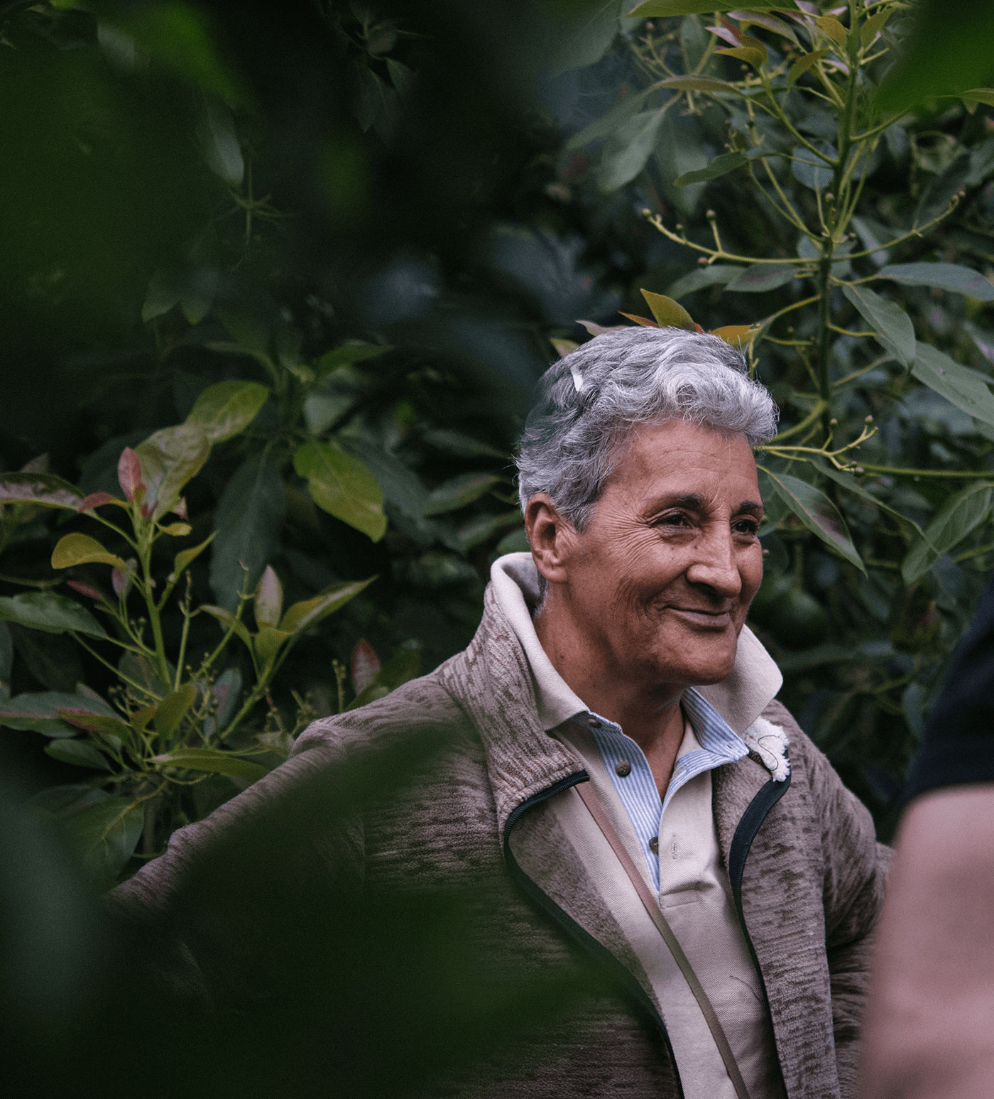 Verve Coffee Roasters - Amparo Maya - Producer Image