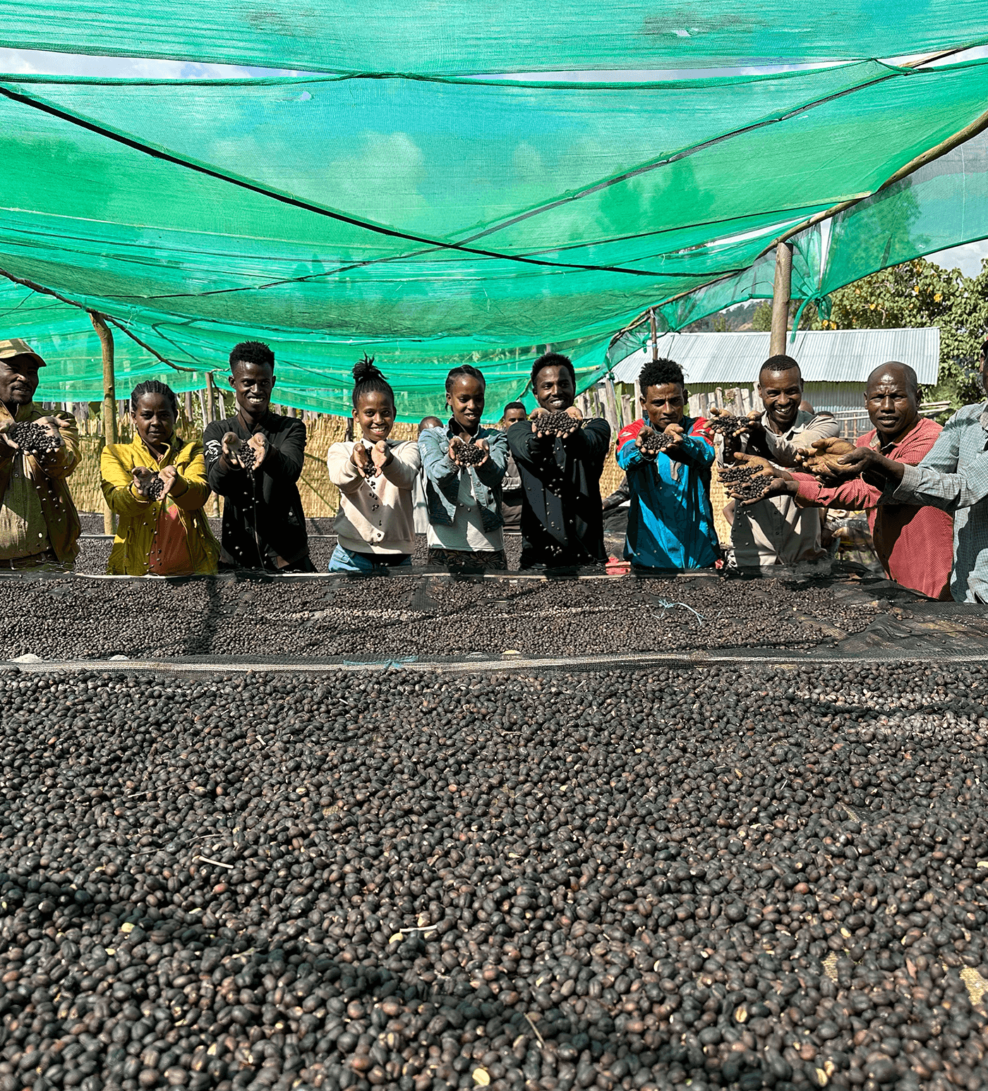 Verve Coffee Roasters - Bekele Belaycho Natural - Producer Image