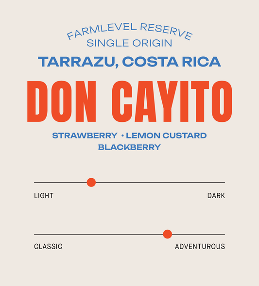Verve Coffee Roasters - Don Cayito Typica Mejorada White Honey Farmlevel Reserve - Scent Profile - Single Origin - Tarrazu, Costa Rica - Tasting Notes: Strawberry, Lemon Custard, Blackberry - Light + Adventurous