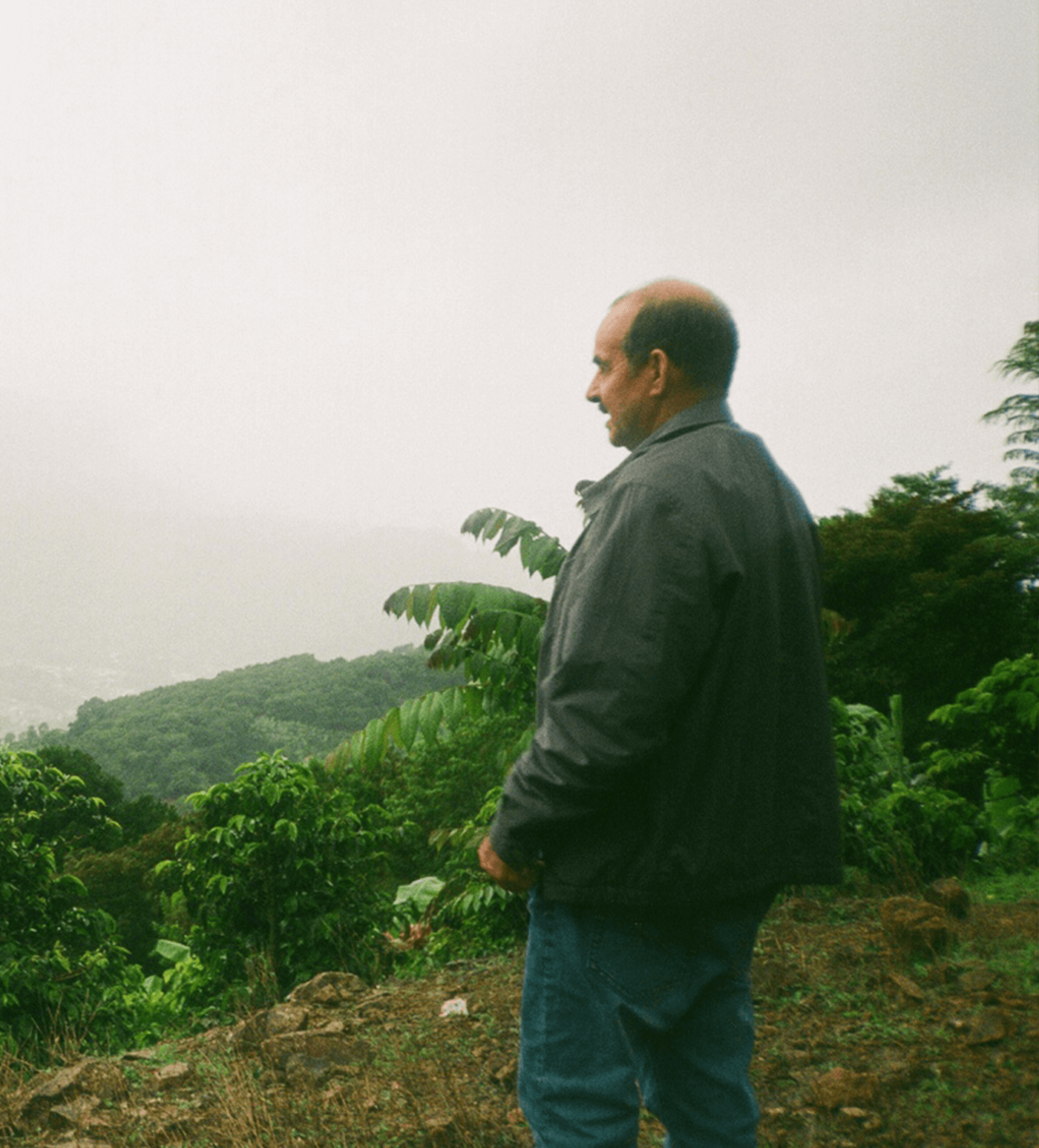 Verve Coffee Roasters - Don Cayito Typica Mejorada White Honey Farmlevel Reserve - Producer Image