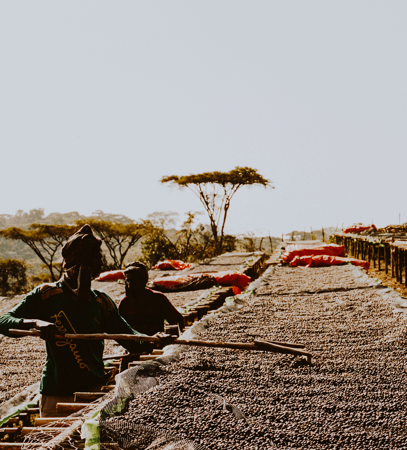 Verve Coffee Roasters - Duromina Espresso - Producer Image