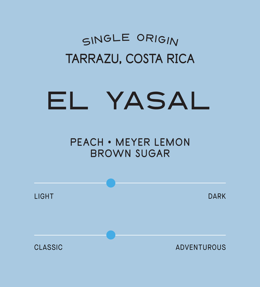 Verve Coffee Roasters - El Yasal - Scent Profile - Single Origin - Tarrazu, Costa Rica - Tasting Notes: Peach, Meyer Lemon, Brown Sugar - Light + Classic