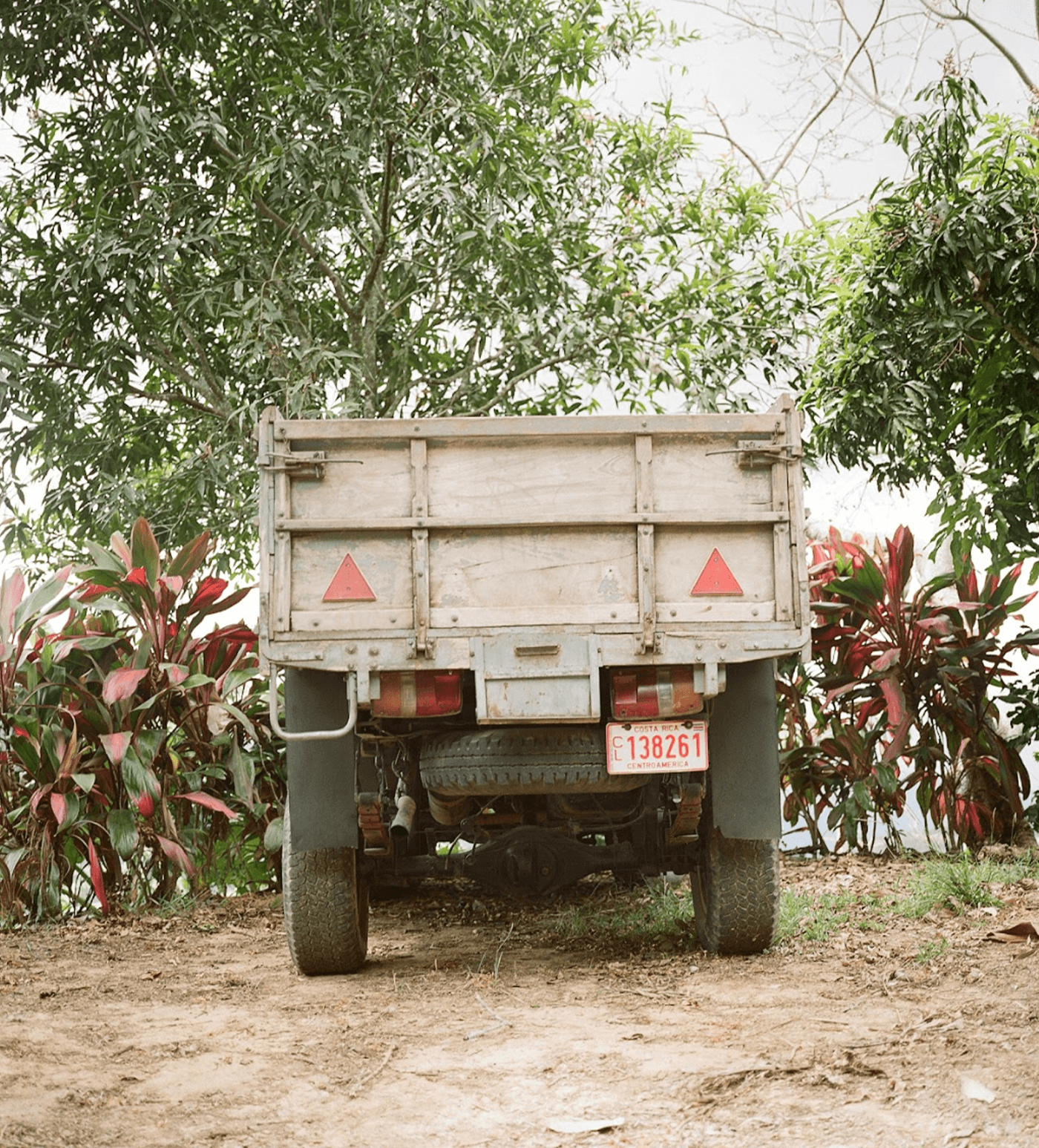 Verve Coffee Roasters - El Yasal - Producer Image