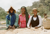 Three women from an Ethiopian coffee farm