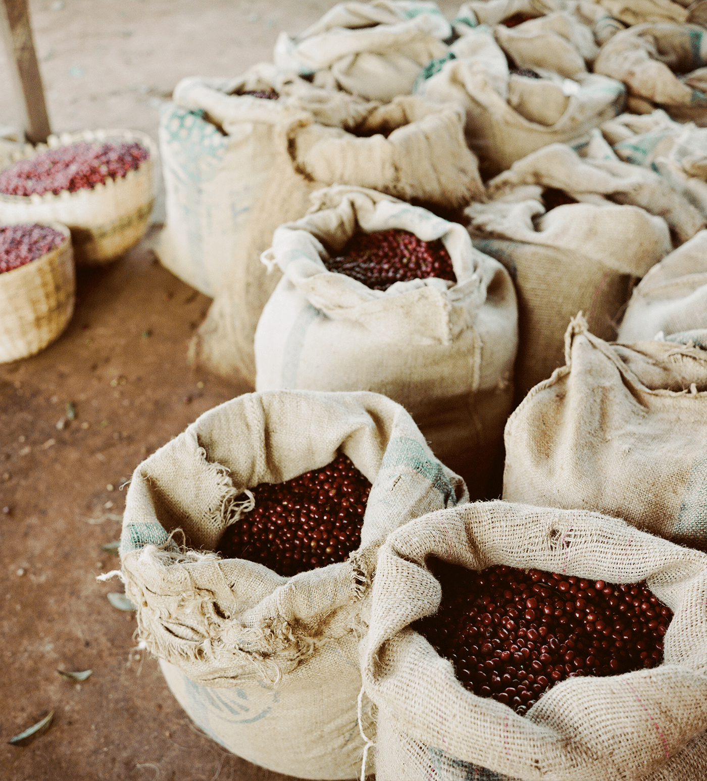 Verve Coffee Roasters - Gura - Producer Image
