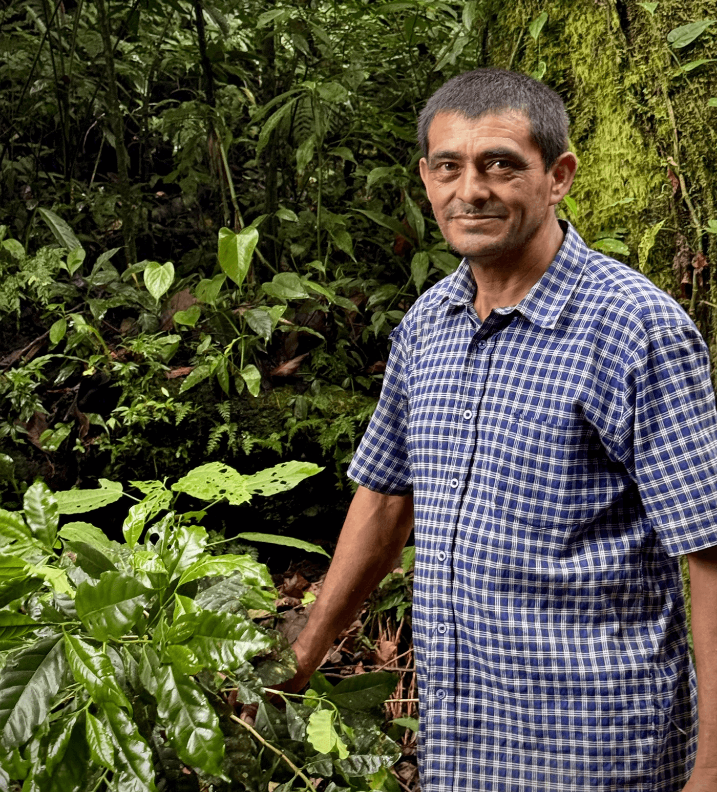 Verve Coffee Roasters - Leonicio Castellon - Producer Image