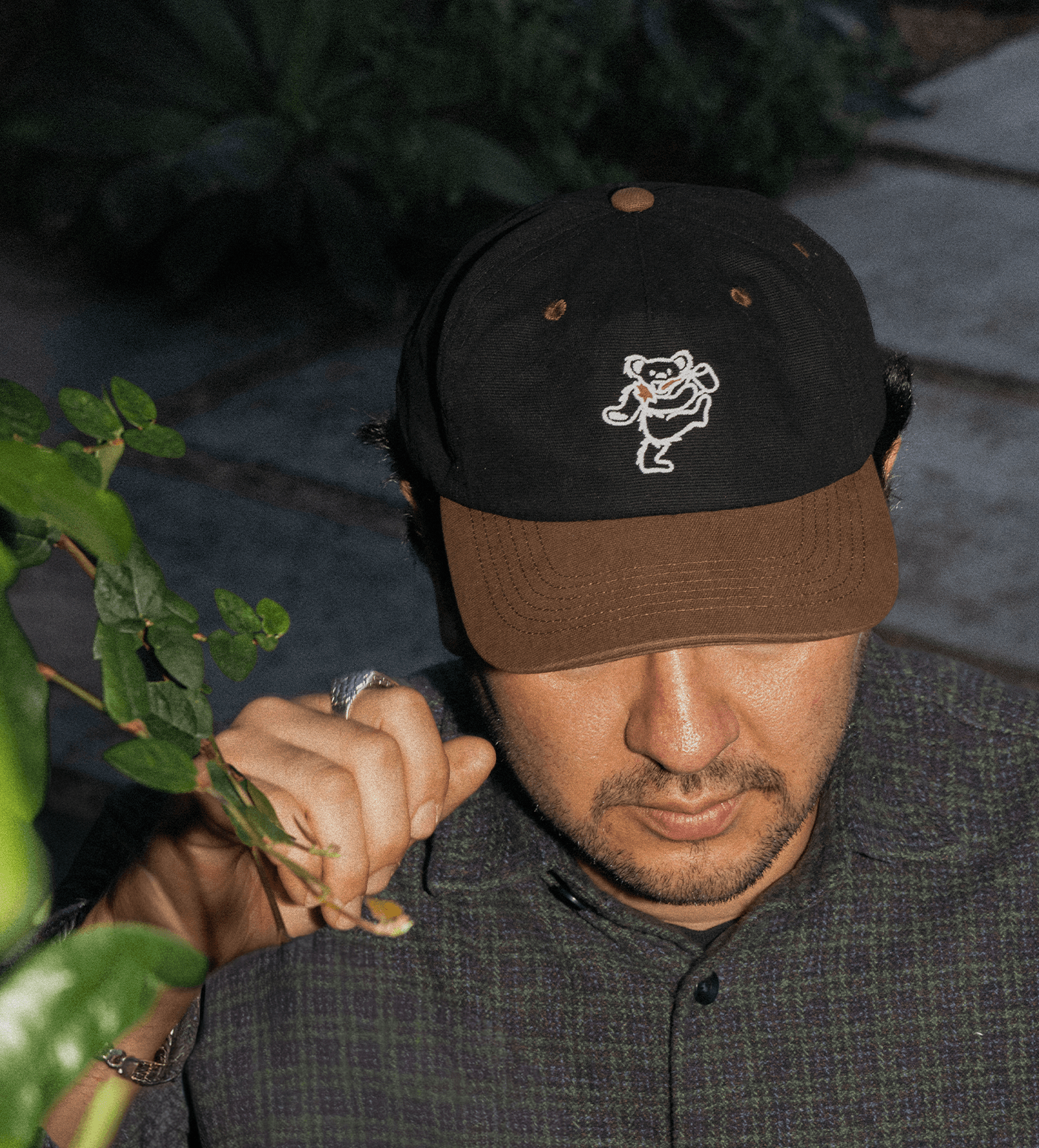Verve Coffee Roasters - Grateful Dead - Dancing Bear 5-Panel Hat
