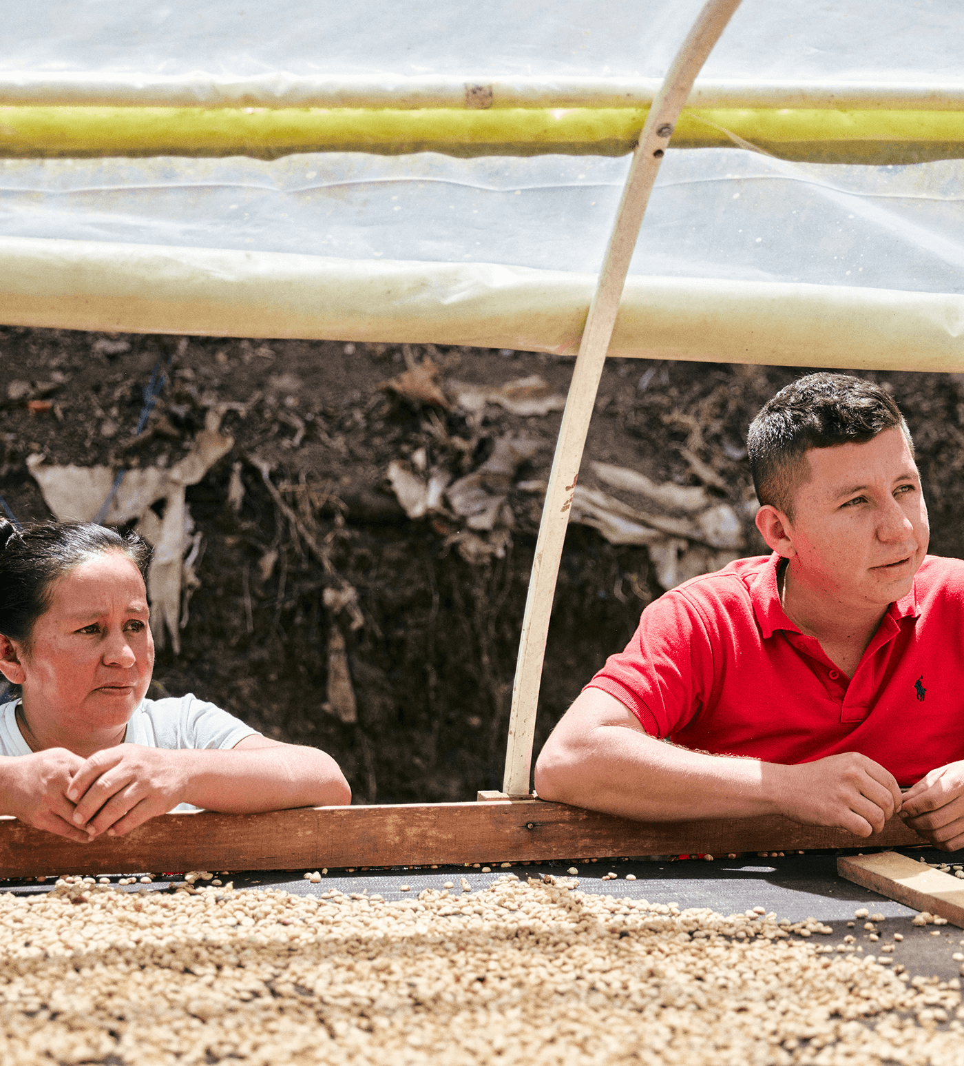 Verve Coffee Roasters - Mujeres De Cafe -  Producer Image