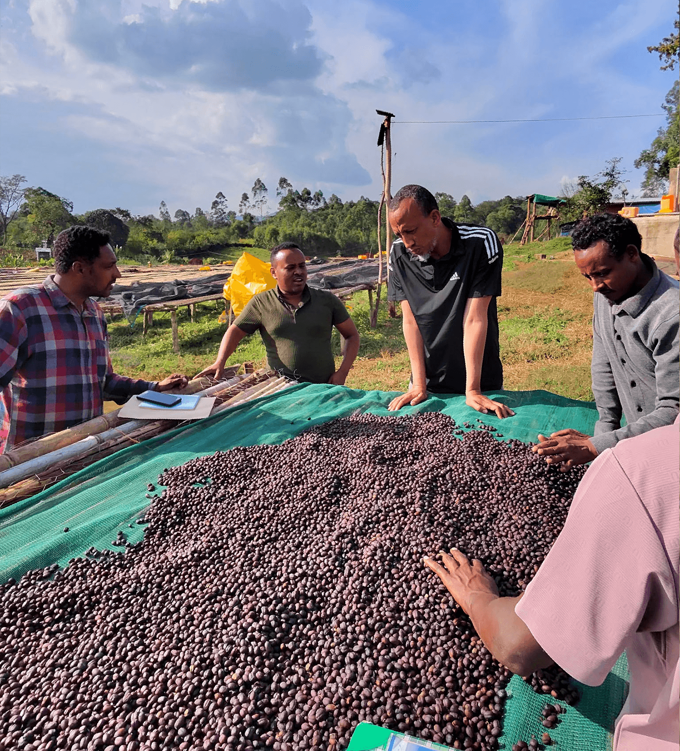 Verve Coffee Roasters - Tofik Nura - Producer Image