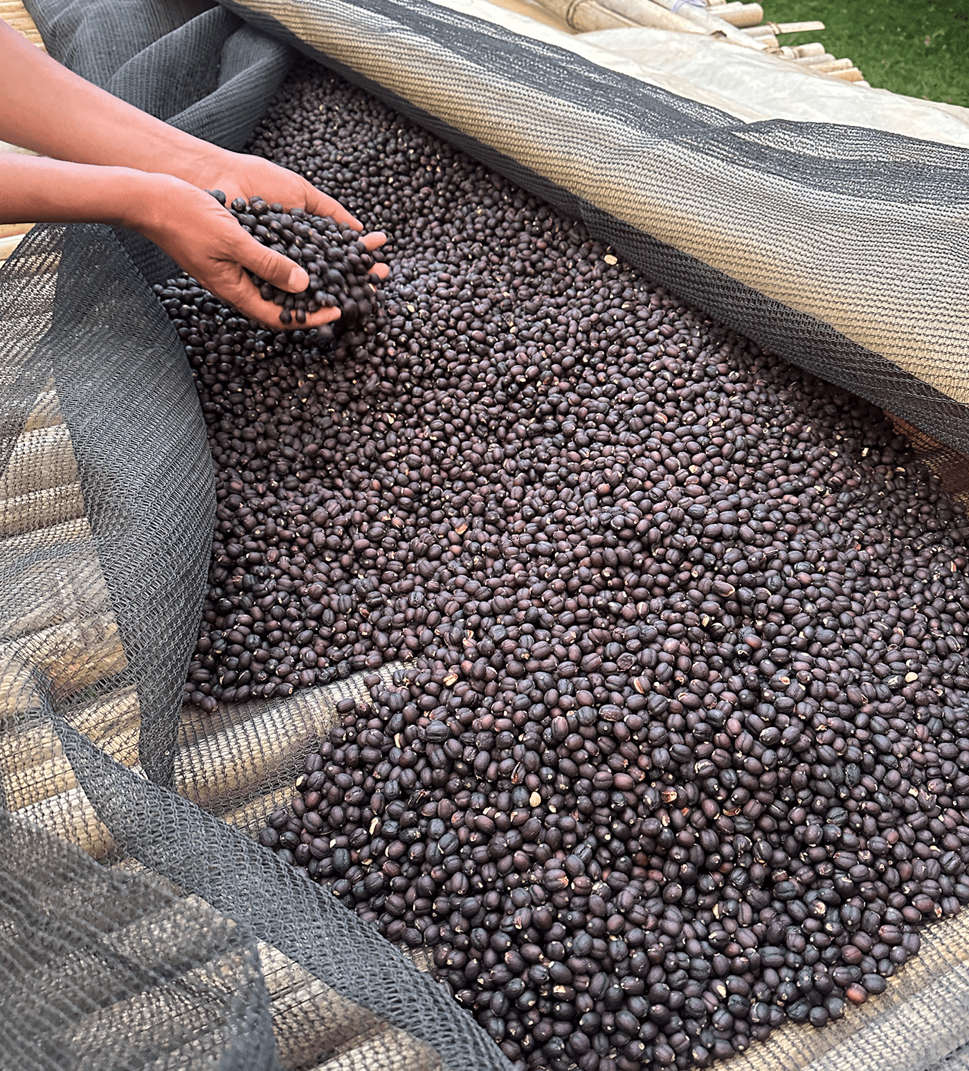 Verve Coffee Roasters - Tuke Yute Anaerobic Natural - Producer Image