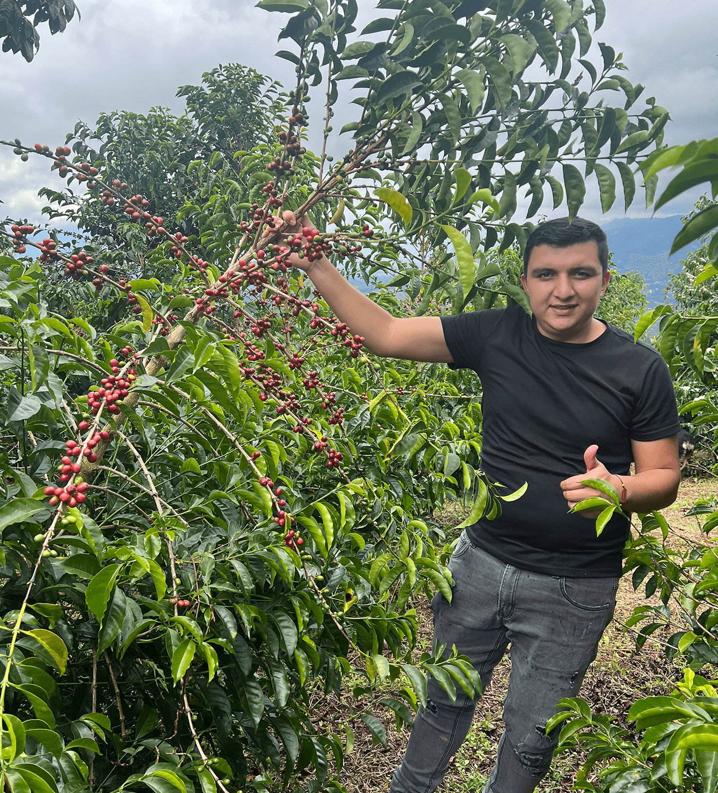 Verve Coffee Roasters - Wilder Blend - Producer Image