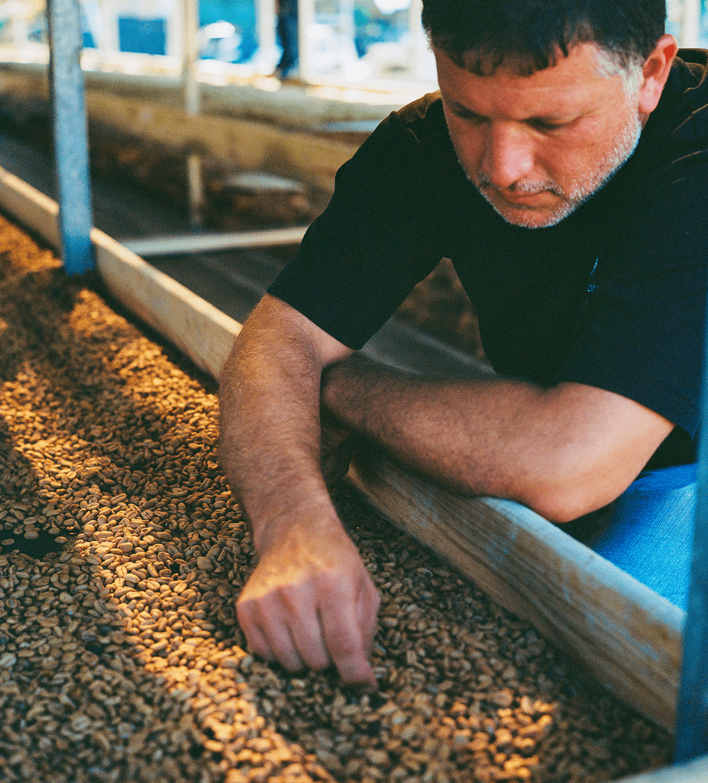 Verve Coffee Roasters - Yojoa - Producer Image